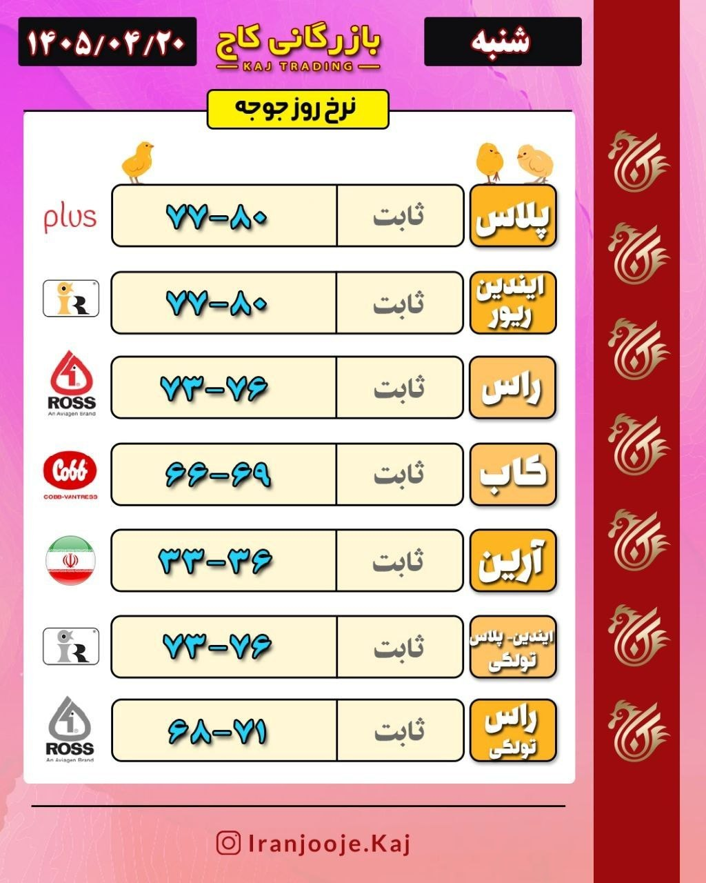 نرخ جوجه بازرگانی کاج در ۲۰ تیر ۱۴۰۵؛ ایندین ریور ۷۷ تا ۸۰ هزار تومان